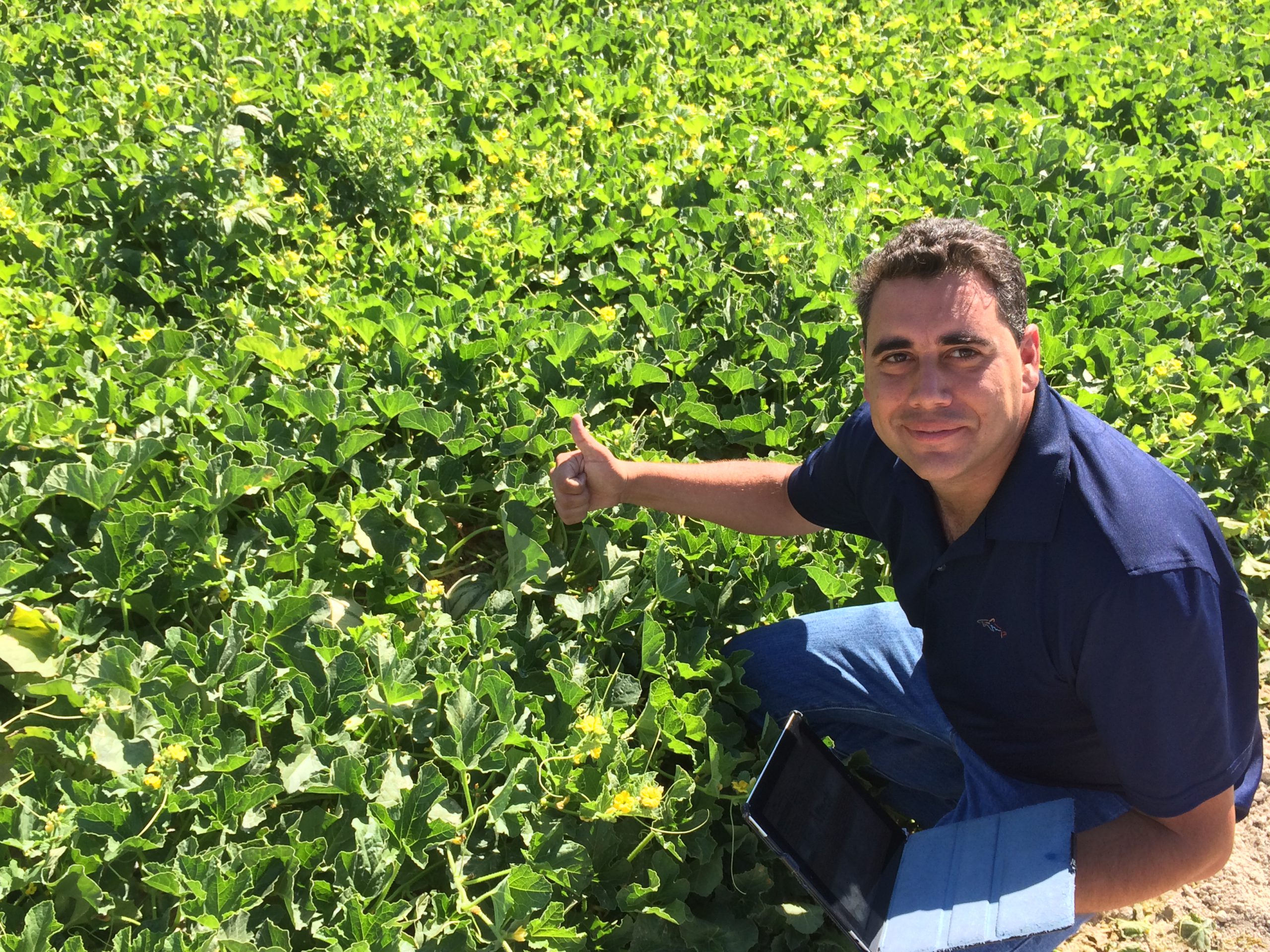 Sello de Calidad en los Cultivos – Pedro Palazón