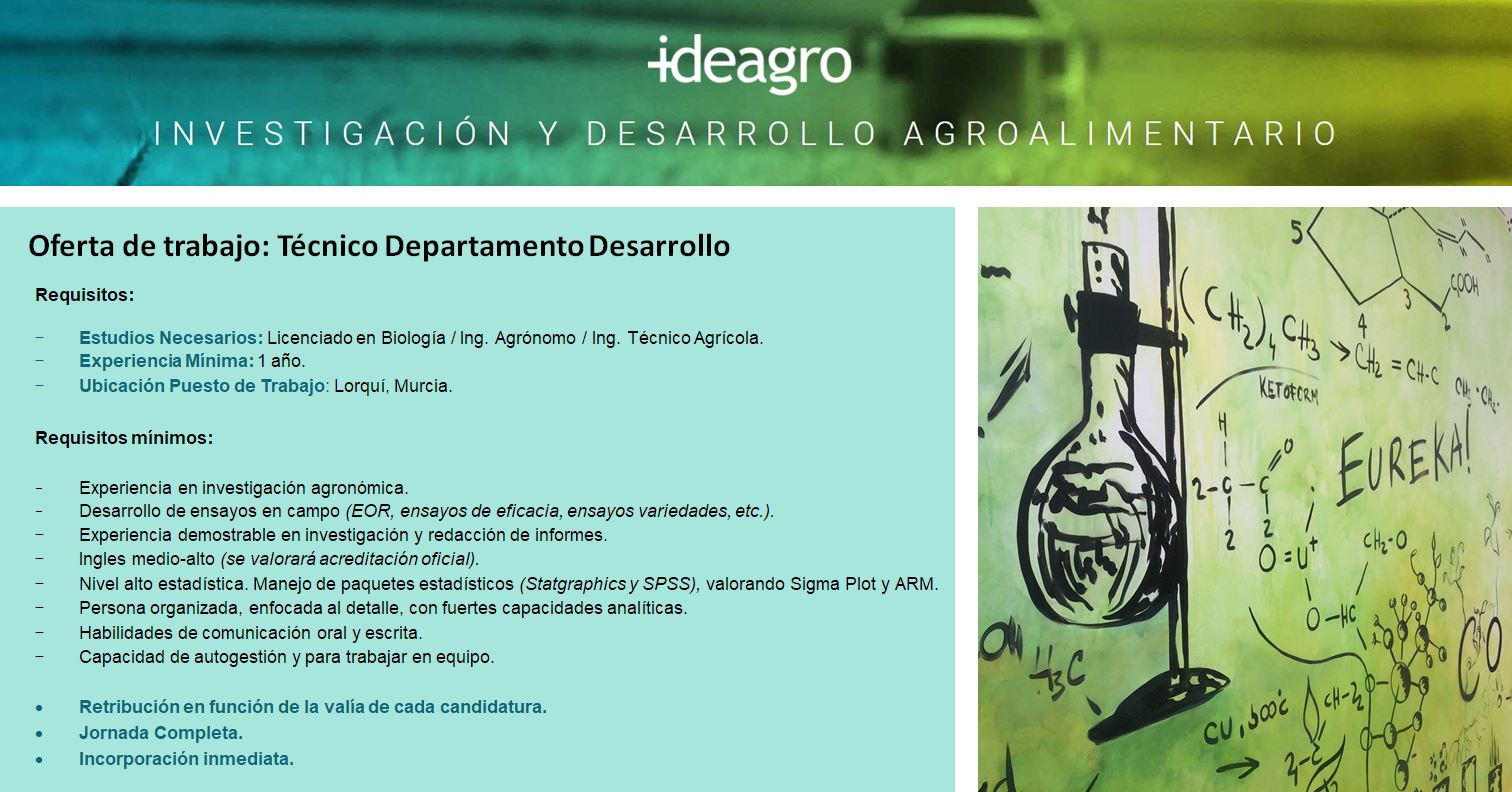 OFERTA EMPLEO – TÉCNICO DEPARTAMENTO DESARROLLO
