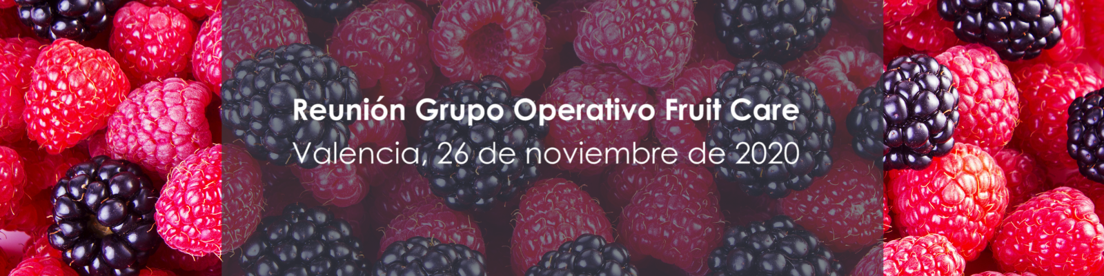 El Grupo Operativo FruitCare se reúne de forma semi presencial para hacer seguimiento del proyecto