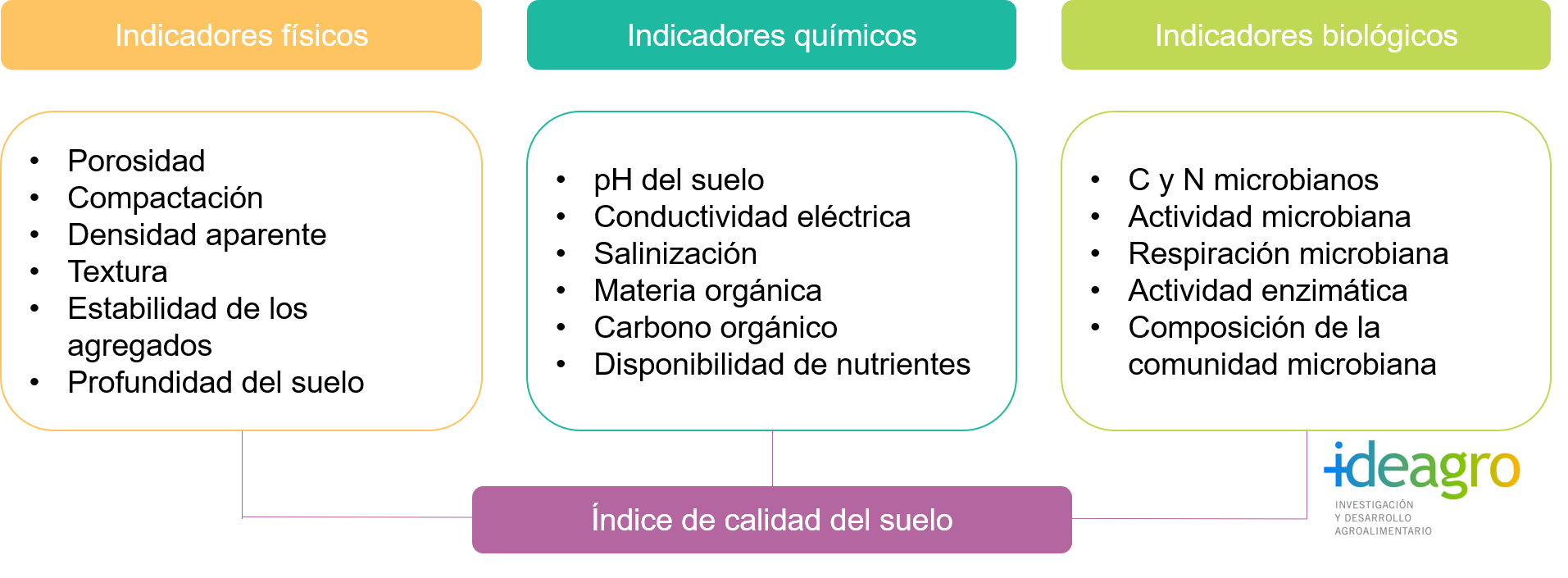 La actividad enzimática, clave para conocer la salud del suelo