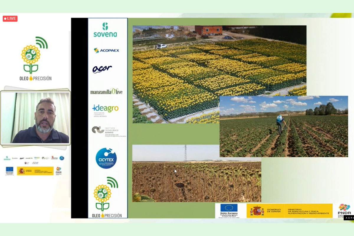 IDEAGRO participó en la jornada final de presentación de resultados del proyecto Oleoprecisión